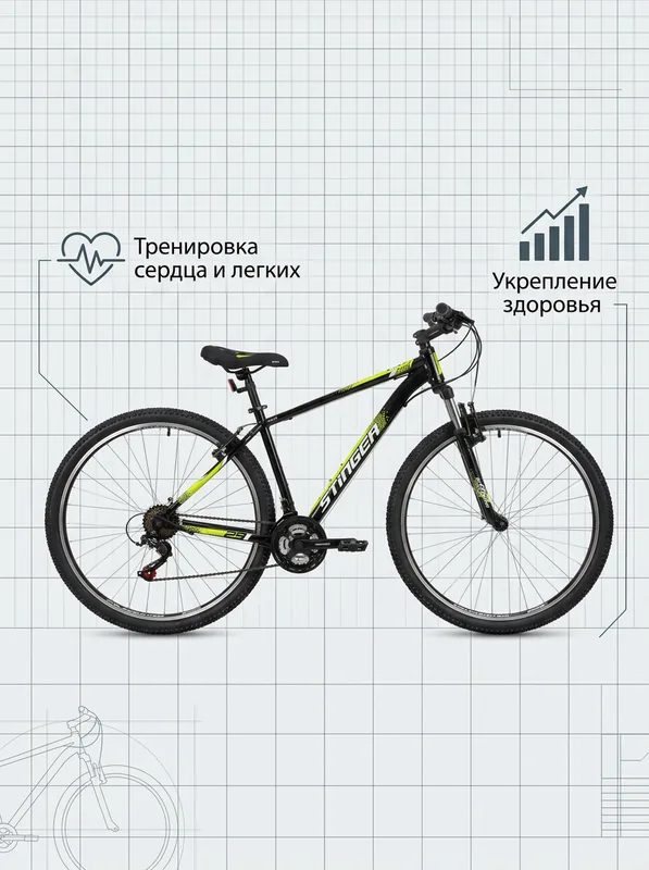 Инфографика